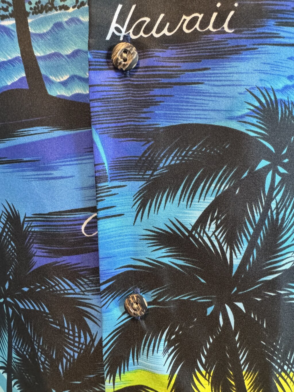 1980s Royal Creations Scenic Sunset Shirt – Black & Blue Palm Beach Print (M)