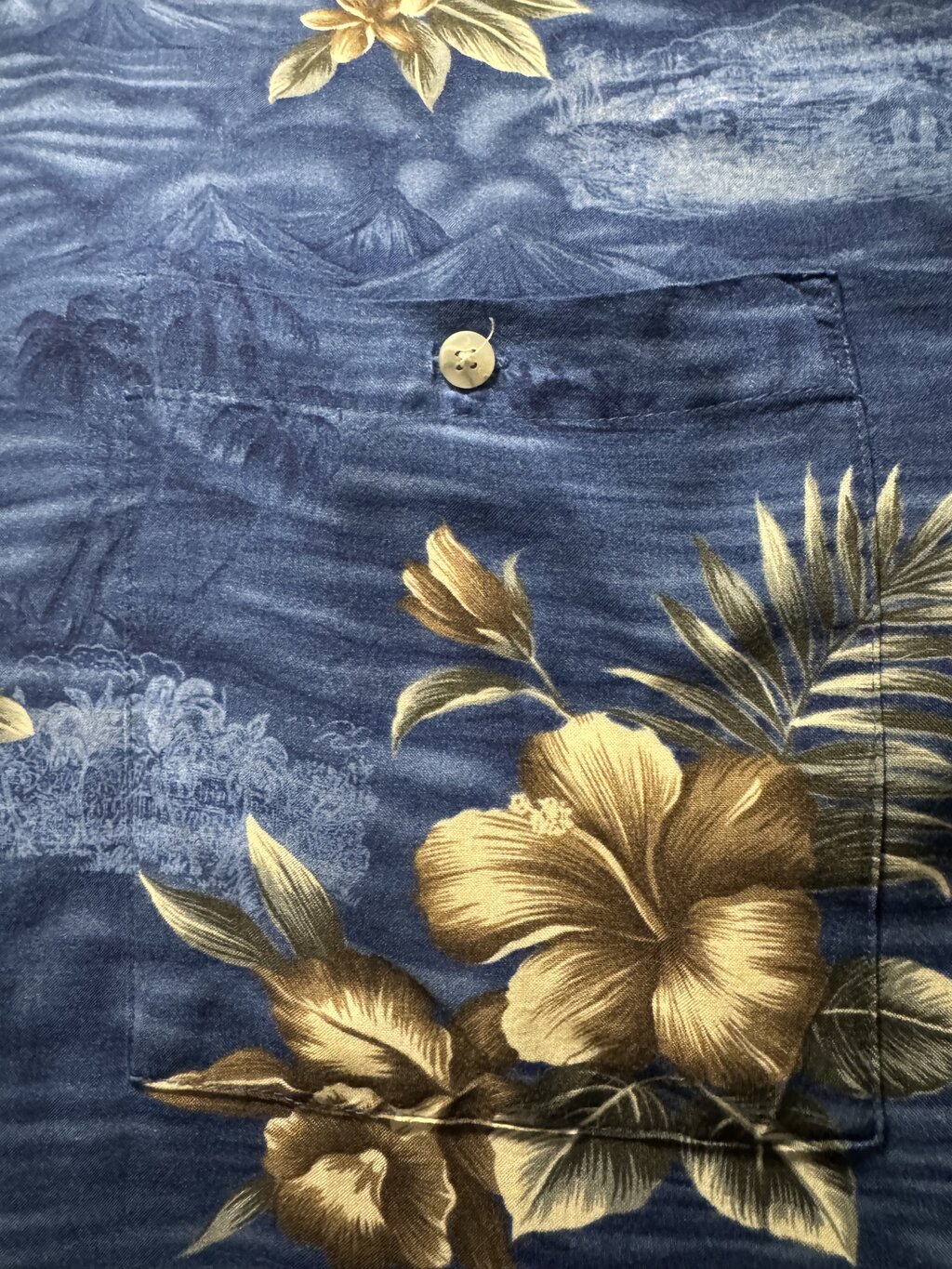 1990s Pierre Cardin Floral & Landscape Shirt – Blue & Brown (L)
