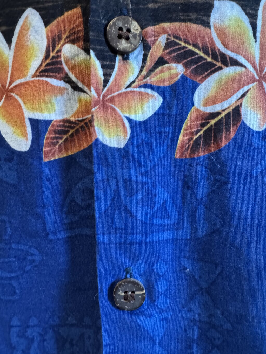 1990s Bishop St. Scenic Shirt – Blue Sunset Beach with Plumeria Border (XL)