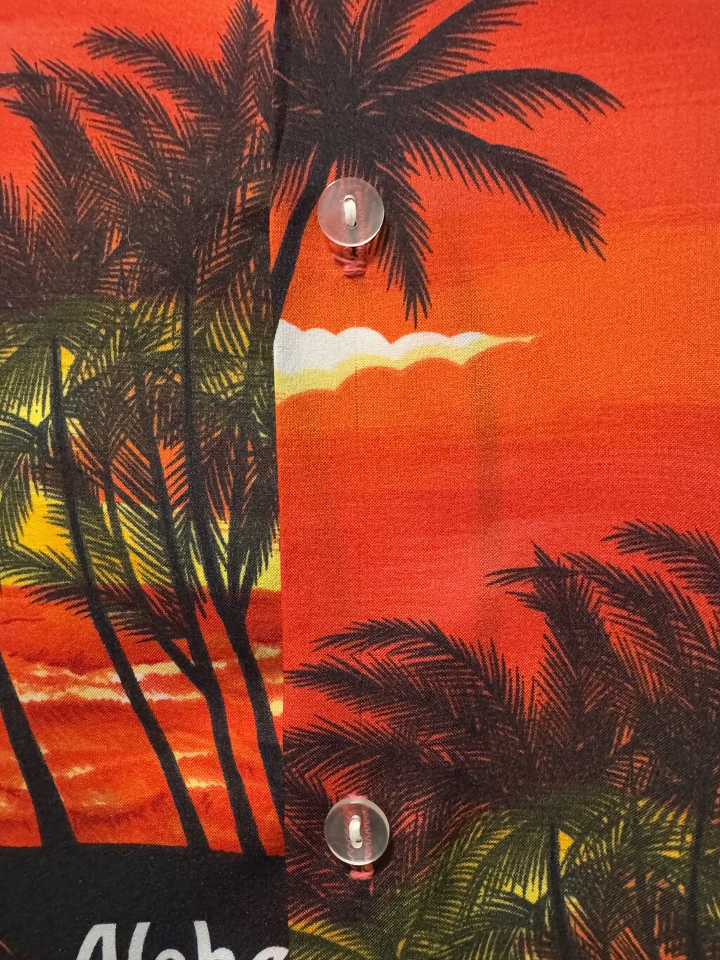 1980s–1990s - Royal Princess Sunset Aloha Shirt – Small